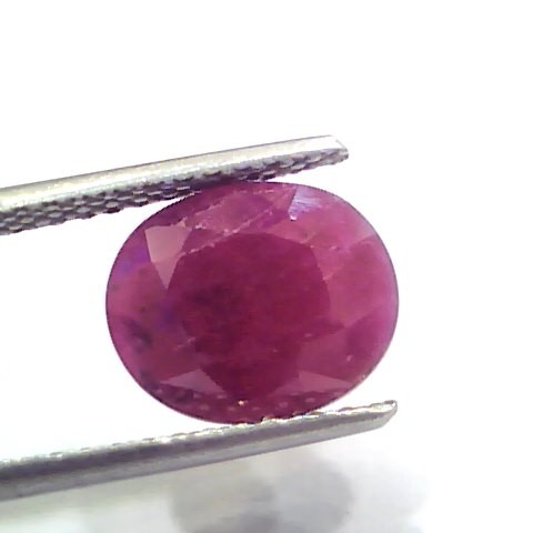 5.55 Ct Certified Unheated Untreated Natural New Burma Ruby