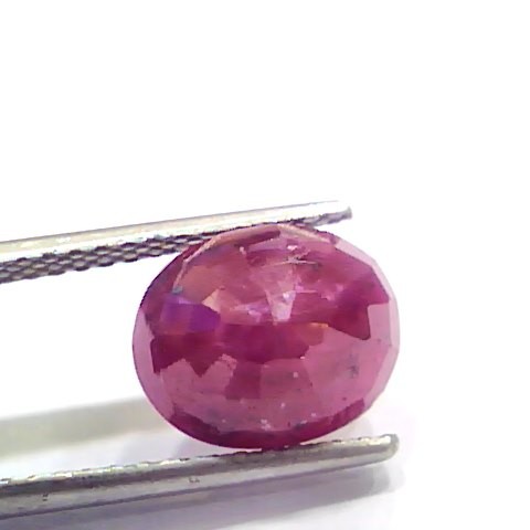 5.55 Ct Certified Unheated Untreated Natural New Burma Ruby