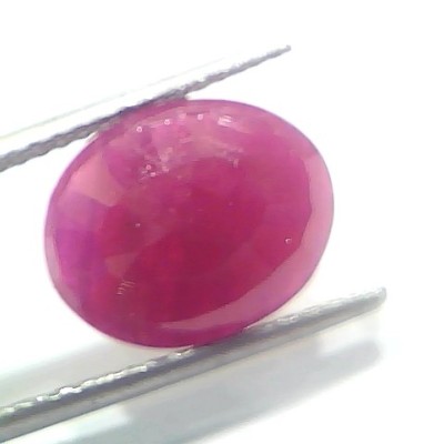 6.30 Ct Certified Unheated Untreated Natural New Burma Ruby
