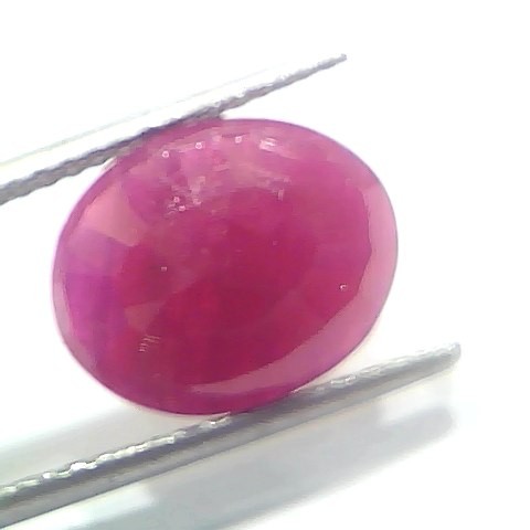 6.30 Ct Certified Unheated Untreated Natural New Burma Ruby