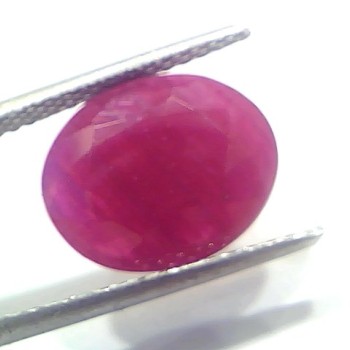 6.30 Ct Certified Unheated Untreated Natural New Burma Ruby