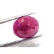 7.56 Ct Certified Unheated Untreated Natural New Burma Ruby