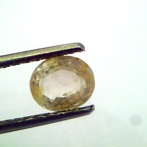 1.63 Ct Unheated Untreated Natural Ceylon Yellow Sapphire Pukhraj