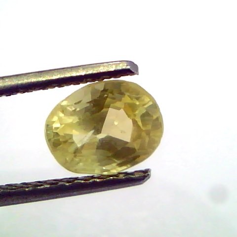 1.77 Ct Unheated Untreated Natural Ceylon Yellow Sapphire Pukhraj
