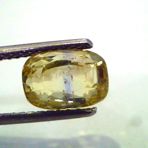 4.21 Unheated Untreted Natural Yellow Blue Pitambari Sapphire