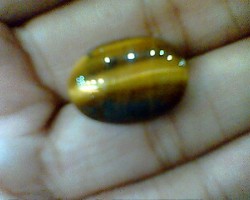 Tiger Eye