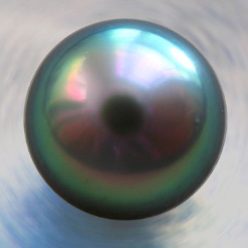 Black pearl 9mm Black Pearl 4-6 Carat Approx