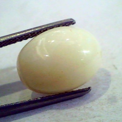 2-10 Ct Natural Australian White Opal Gemstone Premium Quality