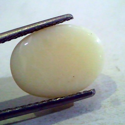 2-10 Ct Natural Australian White Opal Gemstone Premium Quality