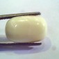 Natural White Coral Safed Moonga Gemstone for venus+mars