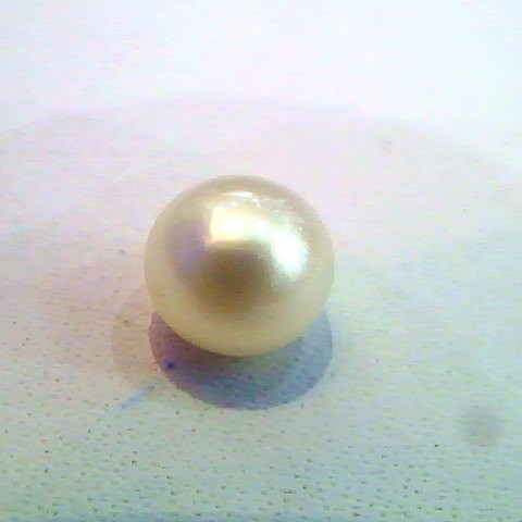 2.33 Carat Natural Certified Real Keshi Pearl,Certified Moti