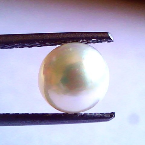 2.71 Ct,4.78 Chaw Natural Basra Pearl,Real Basra Moti Certified