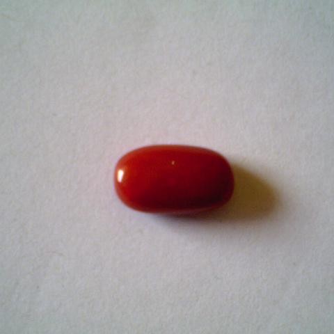 1.1 Carat Natural Tubular Red Italian Coral