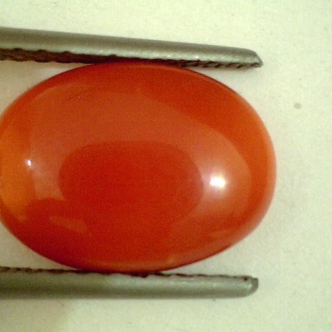 3.30 Ct Untreated Natural Japan Red Coral Gems,Real Moonga