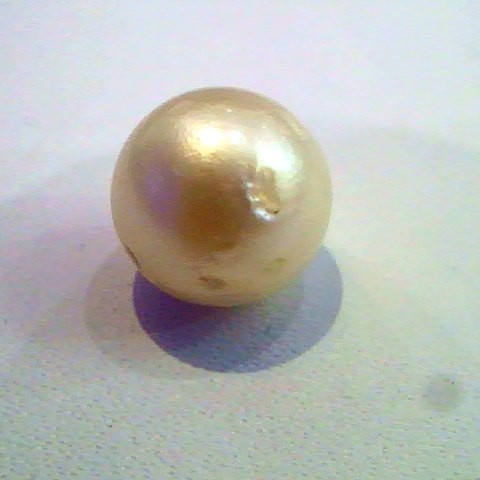 2.27 Ct Certified Natural South Sea Pearl,Moti Certified