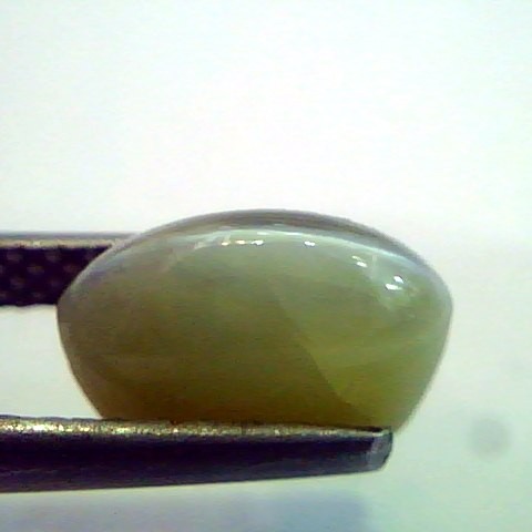 4.49 Ct Certified Untreted Natural Chrysoberyl Cats Eye,Lehsunia