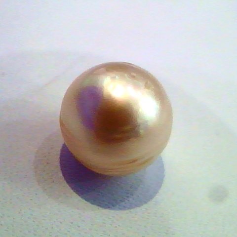2.62 Carat Certified Natural South Sea Pearl,Moti Certified