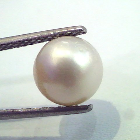5.72 Carat Natural Certified Real South Sea Pearl,Certified Moti