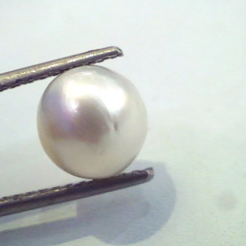 4.96 Carat Natural Certified Real South Sea Pearl,Certified Moti