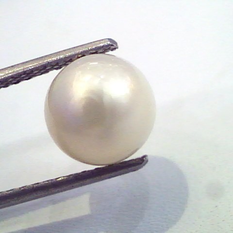 5.00 Carat Natural Certified Real South Sea Pearl,Certified Moti