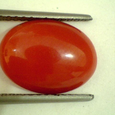 3.70 Ct Untreted Natural Japan Red Coral Gems,Real Moonga