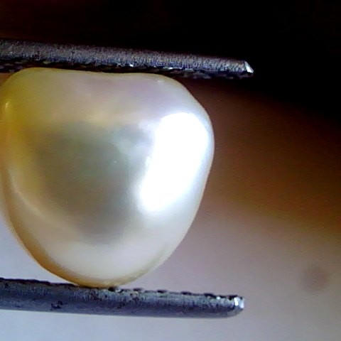 5.64 Ct-20.74 Chaw Natural Certified Real Pearl,Real Moti