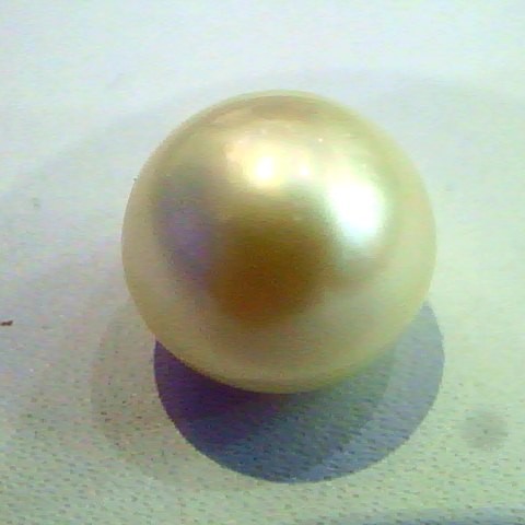 3.43 Ct Certified Natural South Sea Pearl,Moti Certified
