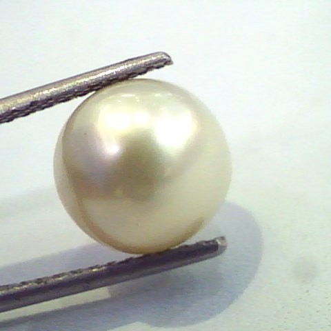 7.32 Carat Natural Certified Real South Sea Pearl,Certified Moti