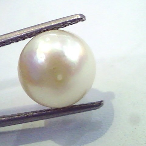 7.62 Carat Natural Certified Real South Sea Pearl,Certified Moti