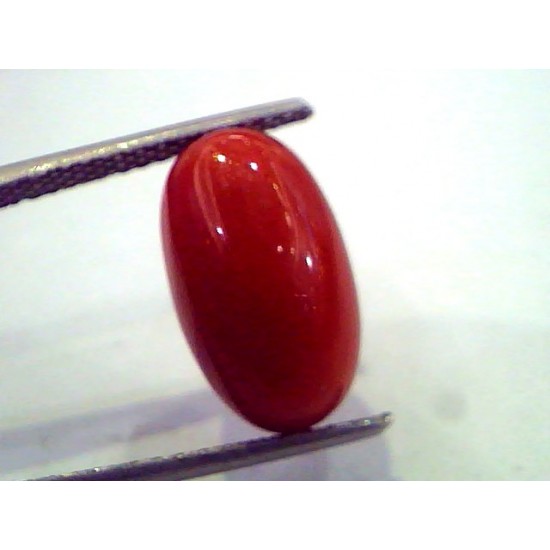 8.18 Ct Untreated Natural Premium Red Italian Coral AAA