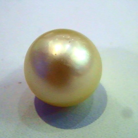 9.11 Carat Certified Natural South Sea Pearl,Certified Moti