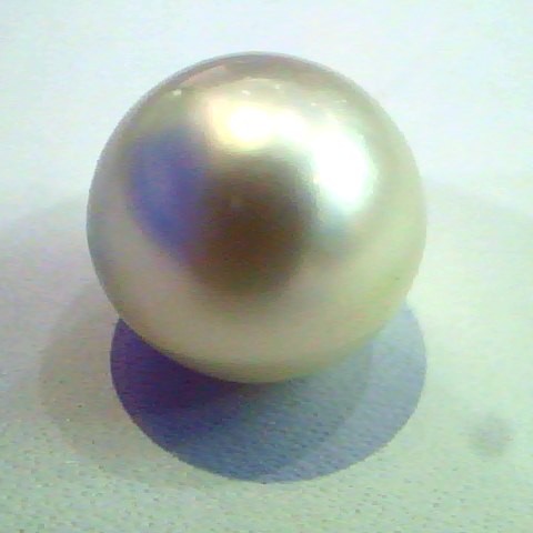 9.78 Ct Certified Natural Round South Sea Pearl,Real Moti Gems