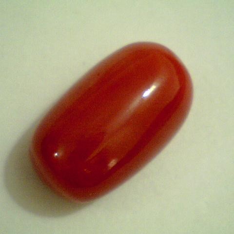 Big 12.65 Ct Natural Red Italian Coral,Real Moonga Gemstones Big 12.65 Ct Natural Red Italian Coral,Real Moonga Gemstones