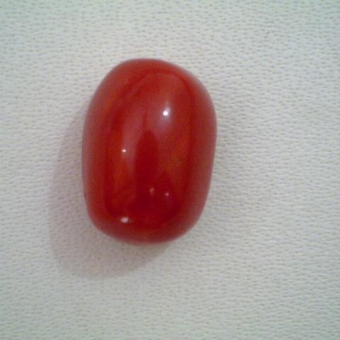 5.25 Carat High Quality Japan Red Coral,Real Moonga 5.25 Carat High Quality Japan Red Coral,Real Moonga