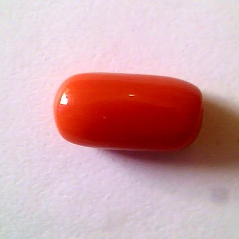 Huge 10.80 Ct Untreated Premium Natural Italian Red Coral,Moonga