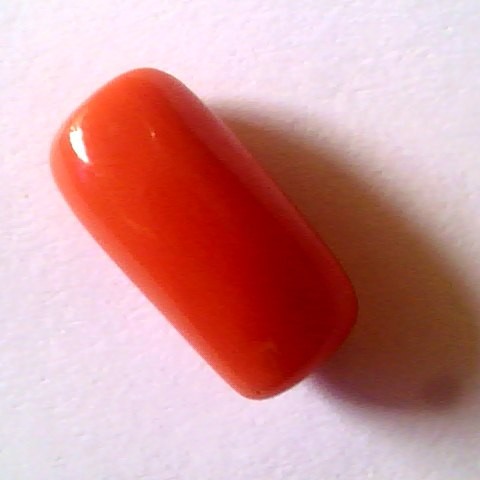 7.90 Ct Untreated Premium Natural Italian Red Coral,Real Moonga