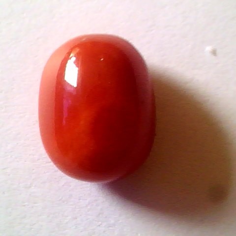 9.90 Ct Untreated Premium Natural Italian Red Coral,Real Moonga