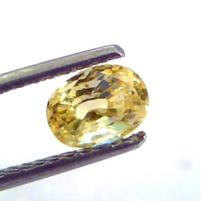1.67 Ct Unheated Untreated Natural Ceylon Yellow Sapphire/Pukhraj