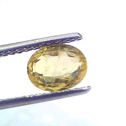 2.04 Ct Certified Unheated Untreated Natural Ceylon Yellow Sapphire