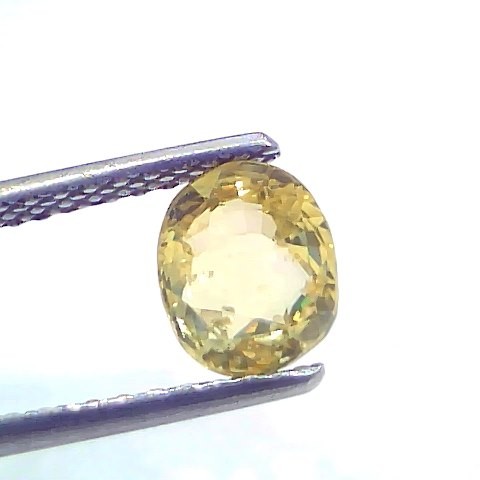 2.03 Ct Certified Unheated Untreated Natural Ceylon Yellow Sapphire
