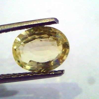 2.01 Ct Unheated Untreated Natural Ceylon Yellow Sapphire Pukhraj
