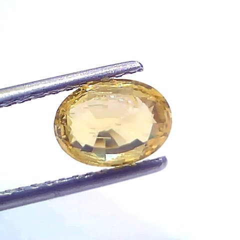 2.02 Ct Certified Unheated Untreated Natural Ceylon Yellow Sapphire