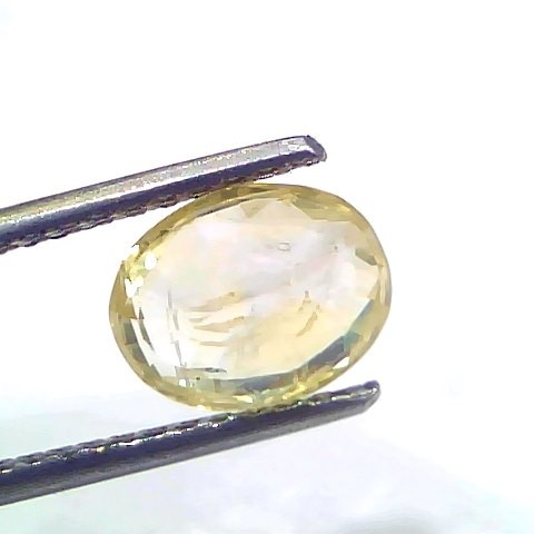2.35 Ct Certified Unheated Untreated Natural Ceylon Yellow Sapphire