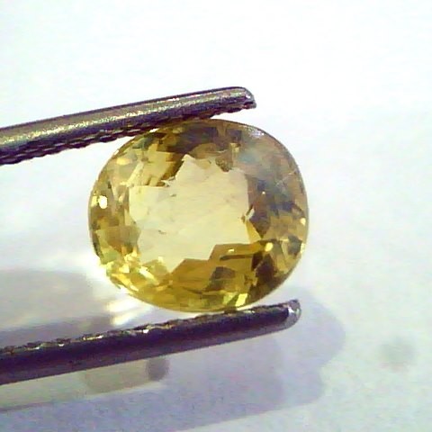 2.44 Ct Unheated Untreated Natural Ceylon Yellow Sapphire Pukhraj