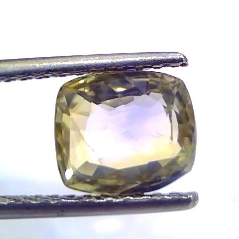 3.00 Ct Unheated Untreated Ceylon Yellow Blue Pitambari Pukhraj Neelam