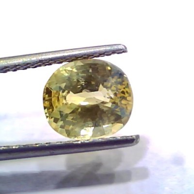 3.00 Ct IGI Certified Unheated Untreated Natural Ceylon Yellow Sapphire
