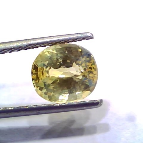 3.00 Ct IGI Certified Unheated Untreated Natural Ceylon Yellow Sapphire
