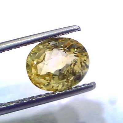 3.00 Ct IGI Certified Unheated Untreated Natural Ceylon Yellow Sapphire