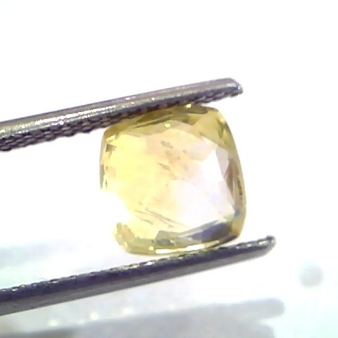 3.00 Ct IGI Certified Unheated Untreated Natural Ceylon Yellow Sapphire