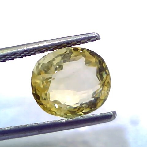 3.02 Ct IGI Certified Unheated Untreated Natural Ceylon Yellow Sapphire